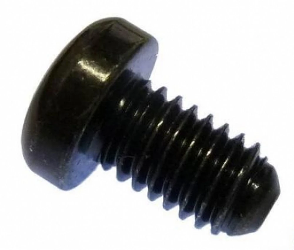 Magura Dichtschraube Für Alle Felgenbremsen Und Gustav-M M6 SW5 Stückpreis ! 3 Magura Dichtschraube Für Alle Felgenbremsen Und Gustav-M M6 SW5 Stückpreis !