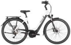 Pegasus Strong-Evo-10 2022 -Shimano Store Pegasus Strong Evo 10 2022 Tiefeinstieg Unisex Damen Wave metallic off white black matt weiss schwarz 644 645 646 55845 55850 55855 55860