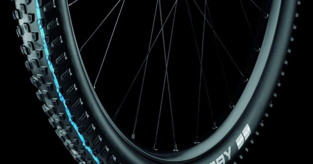 Shimano Store -Shimano Store z6774206616502 0422bc6663d3d8458eea909ecb3008c7